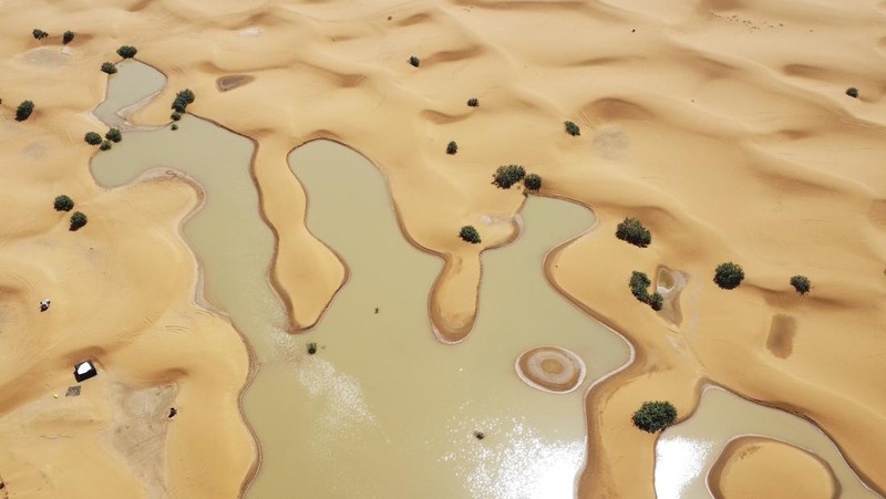 Sebuah Oasis tercermin di sebuah danau yang disebabkan oleh hujan lebat di kota gurun Merzouga, dekat Rachidia, tenggara Maroko, Rabu, 2 Oktober 2024. (AP Photo)