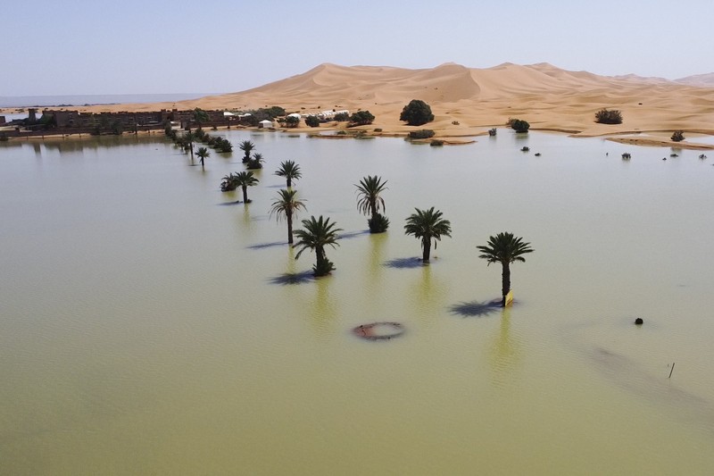 Sebuah Oasis tercermin di sebuah danau yang disebabkan oleh hujan lebat di kota gurun Merzouga, dekat Rachidia, tenggara Maroko, Rabu, 2 Oktober 2024. Sebuah Oasis tercermin di sebuah danau yang disebabkan oleh hujan lebat di kota gurun Merzouga, dekat Rachidia, tenggara Maroko, Rabu, 2 Oktober 2024. (AP Photo)