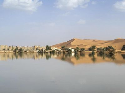 Gurun Sahara Mendadak Berubah, Ilmuwan Teriak Tanda Kiamat