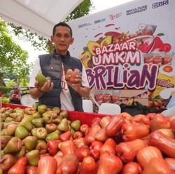 Kisah Sukses Pengusaha Jambu Berkat Pemberdayaan BRI