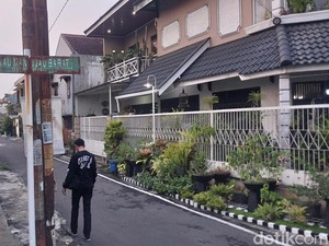 Video Heboh Belasan Kucing di Kota Malang Mati Massal