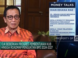 Video: OJK Bicara Roadmap Penguatan BPD 2024-2027 - Pembentukan KUB