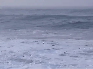 4 Nelayan Jatuh ke Laut Saat Nyebrang Jembatan Eks Tambang Pasir Besi