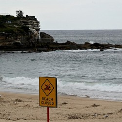 Kemunculan Bola Hitam Misterius di Pantai Sydney, Pemerintah Bingung