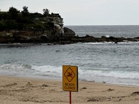 Kemunculan Bola Hitam Misterius di Pantai Sydney, Pemerintah Bingung