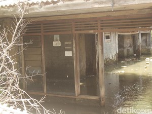 Cerita dari Desa Mayangan Subang yang Ditelan Laut Jawa