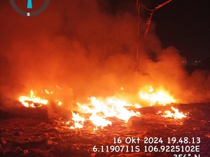 Lapak Burung Merpati di Jakut Kebakaran gegara Puntung Rokok
