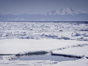 66 Hari Terombang-ambing di Laut Paling Dingin di Dunia, Dia Selamat