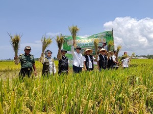 Hadapi ancaman Pangan, Bulog Gandeng Petani dan Penggerak pertanian