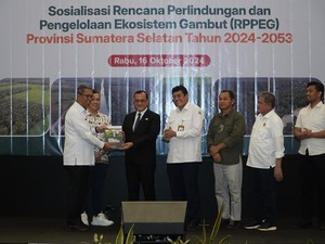 Hampir 1 Juta Hektare Lahan Gambut di Sumsel Lenyap!
