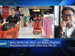 Video: Ekonomi Sulit, Sri Mulyani Diminta Tak Buru-buru Soal PPN 12%