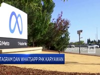 Video: Instagram & WhatsApp PHK Karyawan