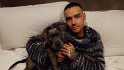 Kenangan dari Liam Payne Untuk One Direction