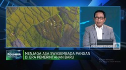 Video: Menuju Swasembada, ID Food Siapkan Benih Padi Bersertifikat