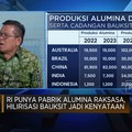 Video: RI Punya Pabrik Alumina Raksasa, Hilirisasi Bauksit Jadi Nyata