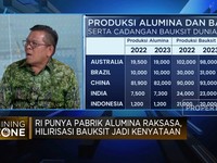 Video: RI Punya Pabrik Alumina Raksasa, Hilirisasi Bauksit Jadi Nyata