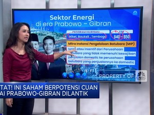  Saham Sektor Ini Berpotensi Cuan Usai Prabowo-Gibran Dilantik