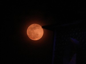 Fenomena Langit 9-10 Agustus 2025: Purnama-6 Planet Sejajar