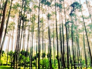 Batu Kuda, Wisata Alam buat Libur Akhir Pekan di Bandung