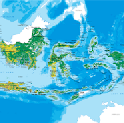 Di Tangan Jokowi RI Punya 4 Provinsi Baru, Bagaimana di Era Prabowo?
