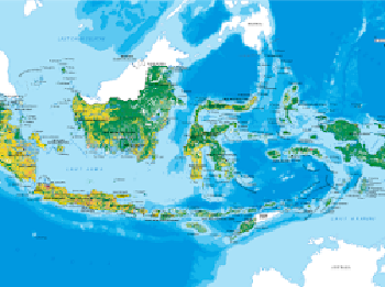 Di Tangan Jokowi RI Punya 4 Provinsi Baru, Bagaimana di Era Prabowo?