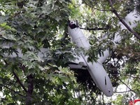 Makin Panas! Korea Utara Temukan Drone Korea Selatan Yang Jatuh