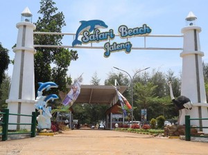 Pesona Safari Beach Jateng: Lokasi, Harga Tiket, Jam Buka, dan Daya Tarik