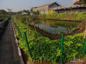 Kolam Retensi Derwati, Solusi Asri Pencegah Banjir di Bandung