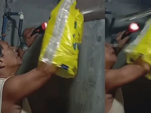 Video Viral Hampir Dipatuk Ular Piton, Cuma Pakai Plastik di Tangan