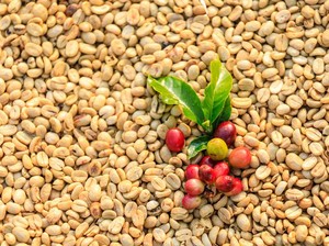 Konsumsi Kopi Light Roast Berkhasiat Cegah Keriput pada Kulit Wajah