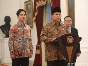 Daftar Lengkap Wamen Kabinet Merah Putih Prabowo-Gibran