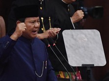 Perjuangan Kemerdekaan Palestina & Kepemimpinan Prabowo Subianto