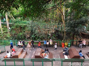 Suara Warga Usai Baksil Mau Direnovasi: Yang Penting Bisa Lebih Fresh