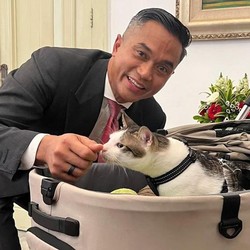 Jadi Kucing Istana, Segini Harga Stroller Bobby Kertanegara