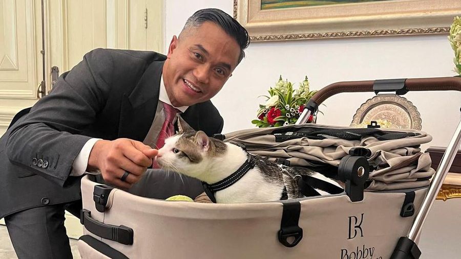 Anindya Bakrie berfoto bersama Kucing kesayangan Presiden Prabowo Subianto, Bobby Kartanegara yang diunggah di Instagram Pribadinya. (Instagram @anindyabakrie)