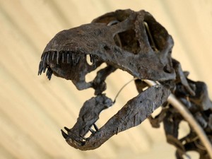 Penelitian Ungkap Ada Interaksi Manusia Purba dengan Dinosaurus