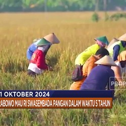 Video: Luhut Ketua DEN Hingga China Tak Baik-Baik Saja