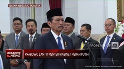 Video: Kejutan! Prabowo Angkat Luhut Jadi Ketua Dewan Ekonomi Nasional
