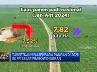 Video:Targetkan Swasembada Pangan di 2028, Ini PR Besar Prabowo-Gibran