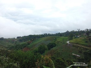 Pesona Alam Ciburial Bak Surga Tersembunyi di Bandung Barat