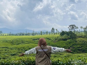 Kabur Sejenak Menyusuri Keindahan Alam Ciwidey yang Hijau