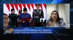 Video: Zulhas Jadi Menko Pangan, Bisa Bikin RI Swasembada Pangan?