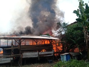 Kandang di Cilincing Kebakaran, 14 Ekor Kambing Mati Terpanggang