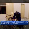 Video: Prabowo Bawa Kucing Peliharaan ke Istana Negara