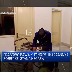 Video: Prabowo Bawa Kucing Peliharaan ke Istana Negara