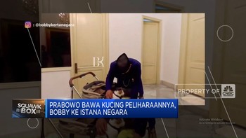Video: Prabowo Bawa Kucing Peliharaan ke Istana Negara