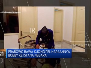Video: Prabowo Bawa Kucing Peliharaan ke Istana Negara