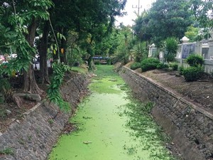 Antisipasi Musim Hujan, DLH Surabaya Bersihkan Sungai Penuh Gulma-Sampah