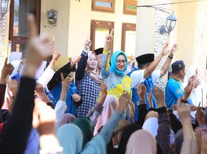 Airin-Ade Siapkan Berbagai Program buat Dorong Transformasi Ekonomi Hijau