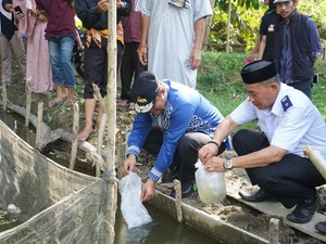 Ke Desa Pammulukang, Pj Gubernur Sulbar Beri Bantuan Bibit Nila-Pohon